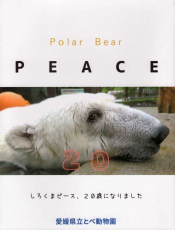 20191204-03.jpg