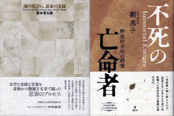 20240613-01.jpg